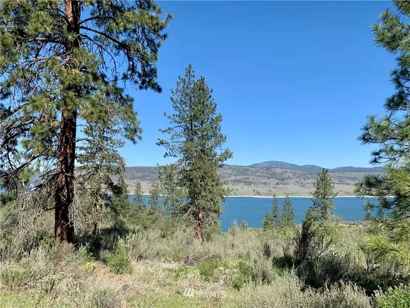 39175 Gunsight Bluff N, Seven Bays, WA 99122