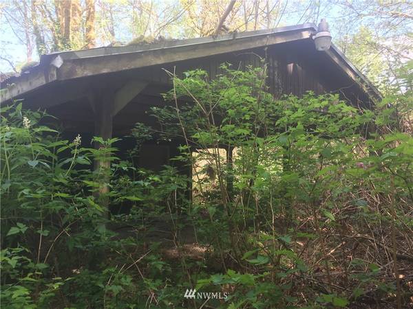 41687 Cape Horn DR, Concrete, WA 98237