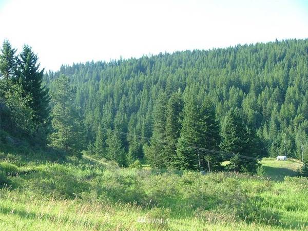 75 Snowshoe RD, Oroville, WA 98844