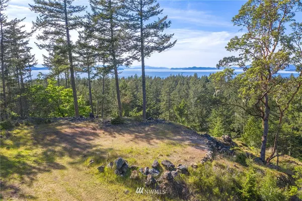 550 Dancing Deer DR, Orcas Island, WA 98245