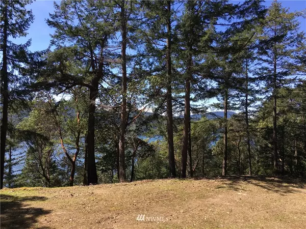 Orcas Island, WA 98245,5 &6 Palisades DR