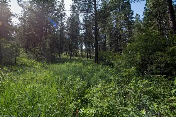 Winthrop, WA 98862,0 Lot 60 Whitebark LN