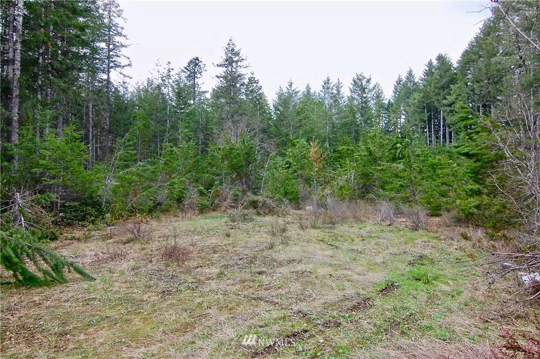 Belfair, WA 98528,0 NE Toonerville RD