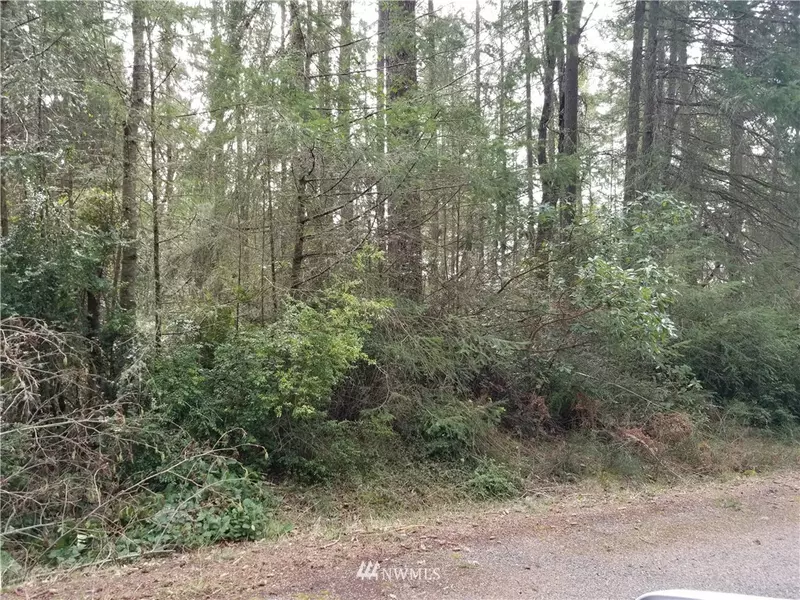 11921 112th AVE, Anderson Island, WA 98303