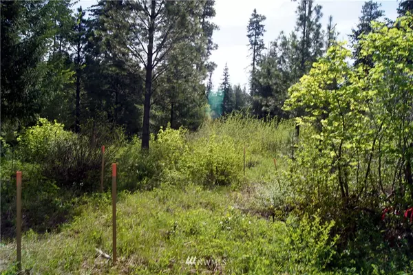 Cle Elum, WA 98922,80 Rinky Dink LN