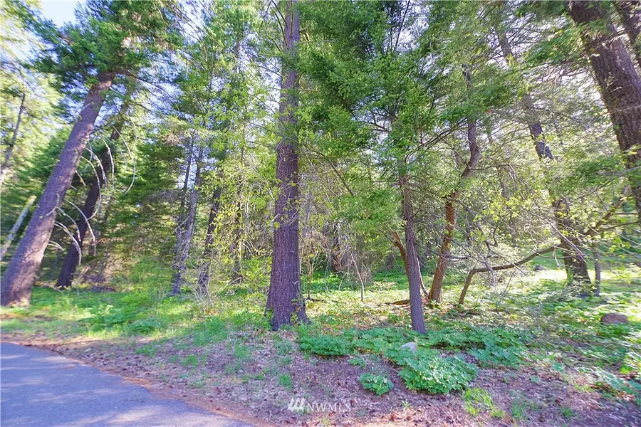 15 Lot Lava LN, Ronald, WA 98940