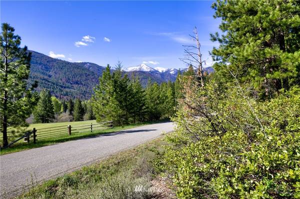 1110 Twisp River RD, Twisp, WA 98856