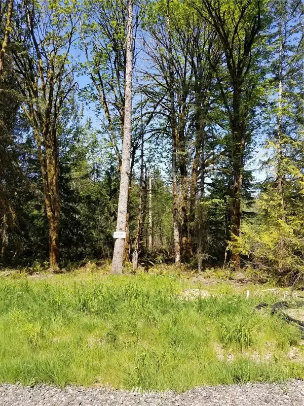 Bremerton, WA 98312,0 Lot 1 Boundary TRL