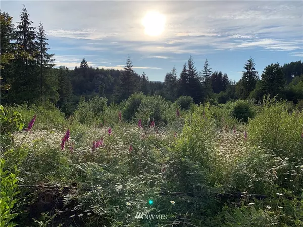 Woodland, WA 98674,1 Oxbow RD