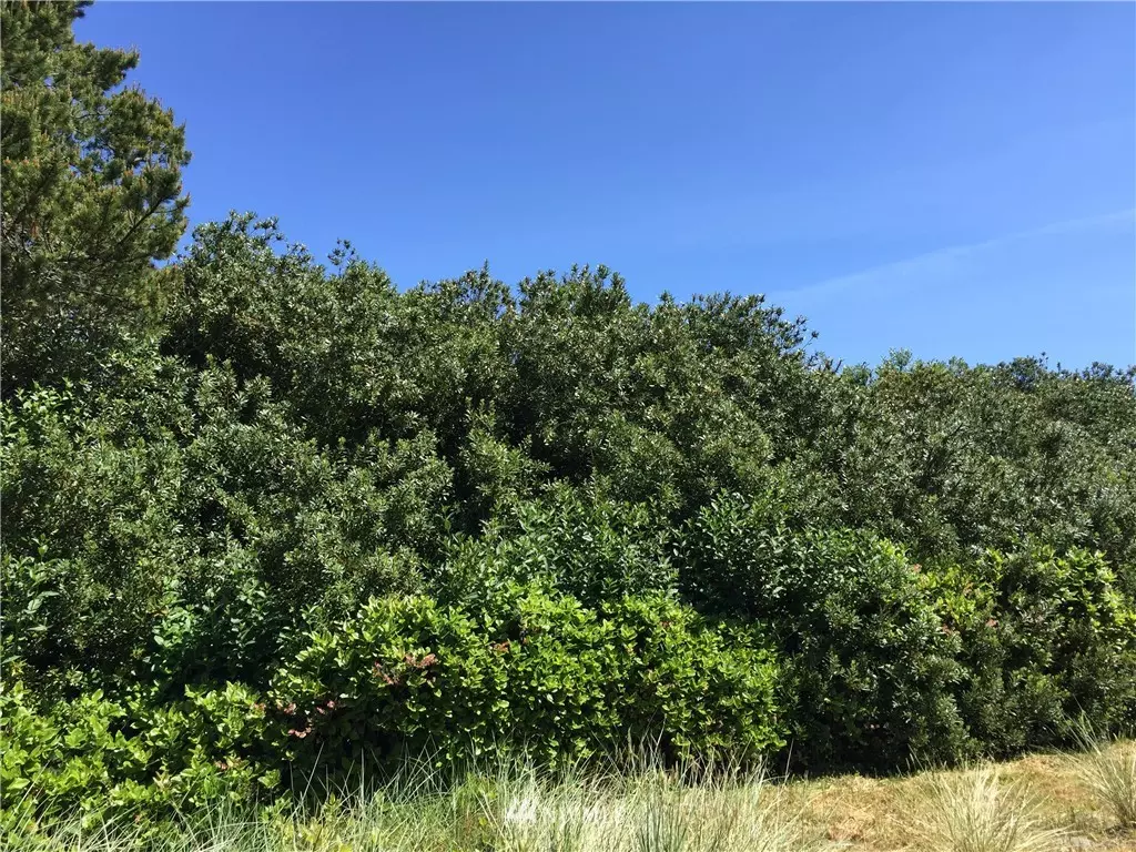 Ocean Shores, WA 98569,324 Sand Dune AVE NW