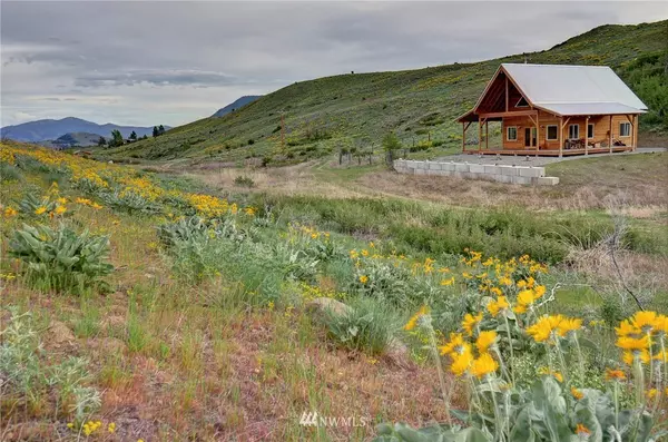 Twisp, WA 98856,21 Grouse Hollow LN