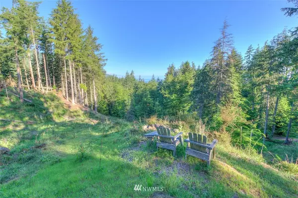 Orcas Island, WA 98245,23 Tsuga LN