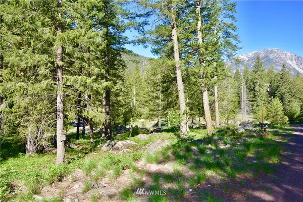 0 Lot 2&3 Skyline DR, Mazama, WA 98833