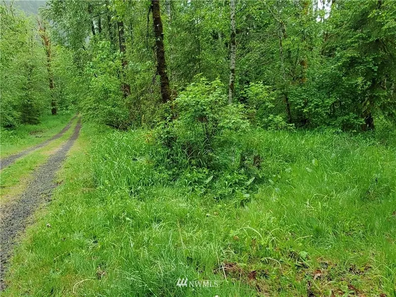 0 Bergen RD, Morton, WA 98356