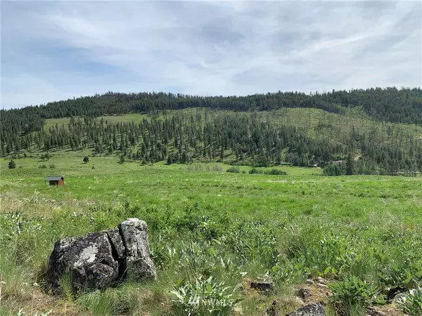 559 Texas Creek RD, Carlton, WA 98856