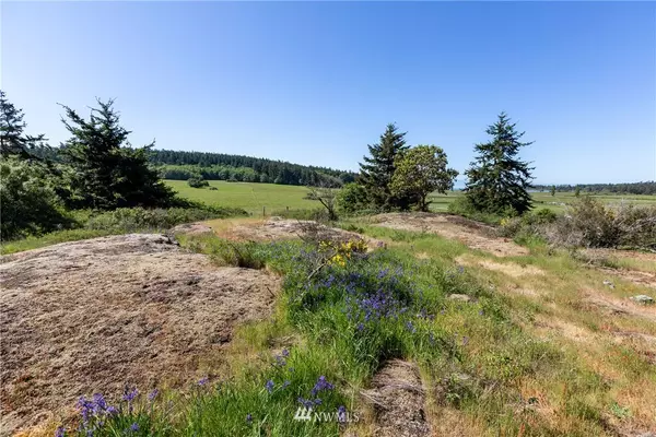 San Juan Island, WA 98250,0 xxx Bailer Hill RD