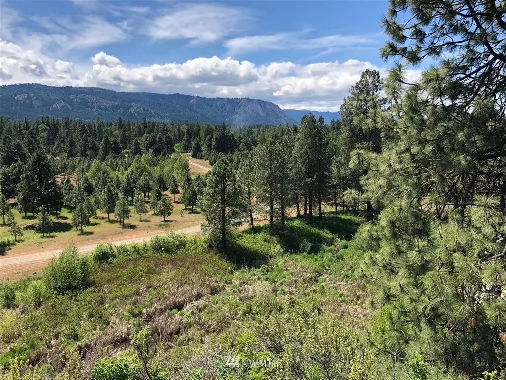 Cle Elum, WA 98922,3581 Hwy 970 (Lot 2)