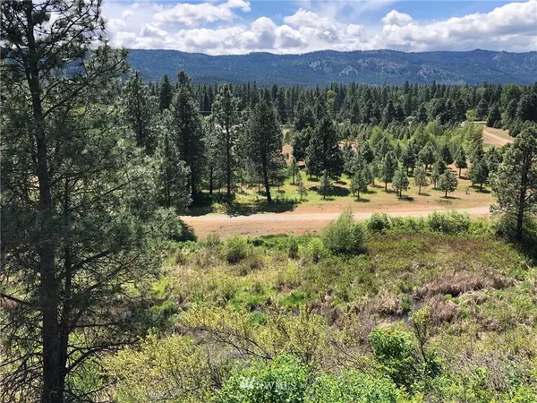 Cle Elum, WA 98922,3581 Hwy 970 (Lot 2)