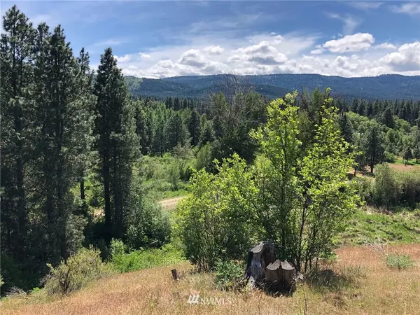 Cle Elum, WA 98922,3581 Hwy 970 (Lot 3)