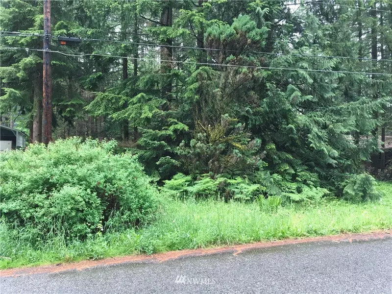1701 Peaceful Valley DR, Maple Falls, WA 98266