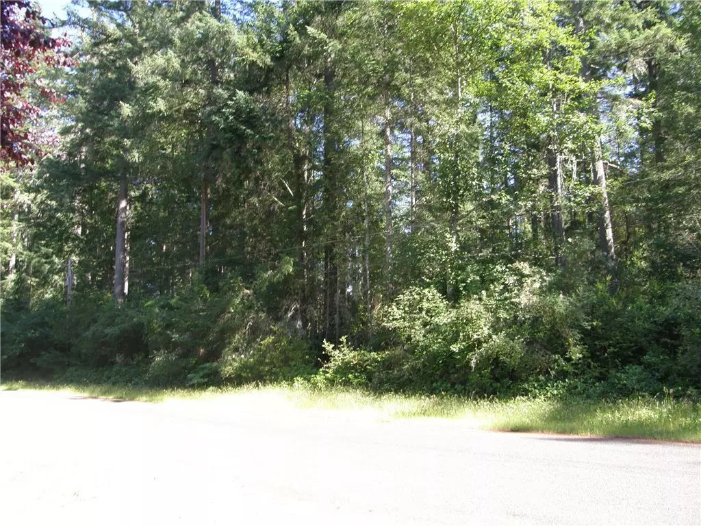 Anderson Island, WA 98303,11216 106th ST