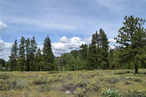 27 B Lodge LN #B, Winthrop, WA 98862