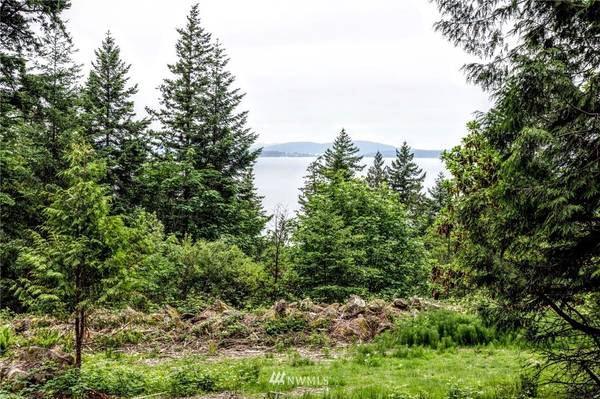 13322 Chuckanut Mountain RD, Bow, WA 98232