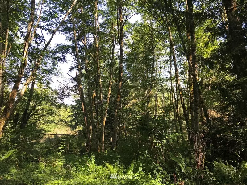 12912 94th ST, Anderson Island, WA 98303