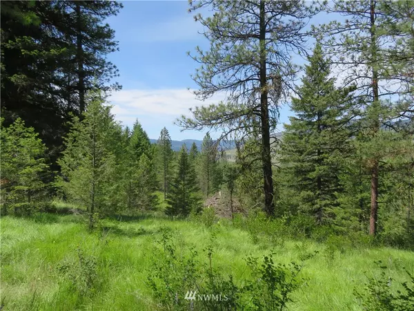 Curlew, WA 99118,0 Lot 3 Boulder Creek RD