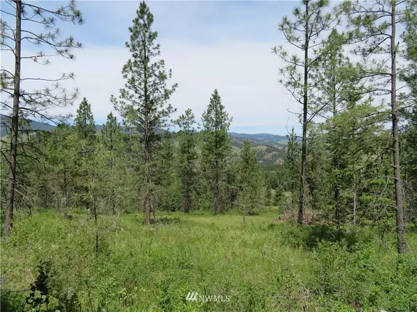 Curlew, WA 99118,0 Lot 3 Boulder Creek RD