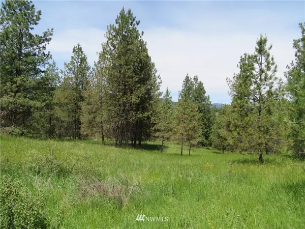 Curlew, WA 99118,0 Lot 7 Boulder Creek RD