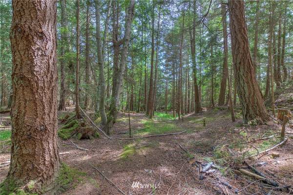 1 Palisades DR, Orcas Island, WA 98245