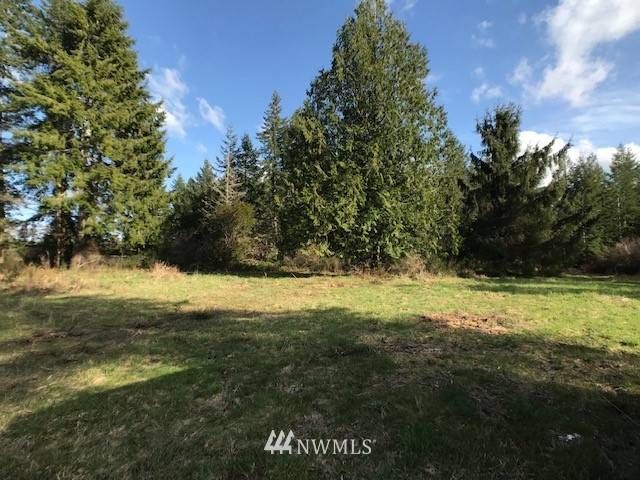 13251 W Cloquallum RD, Elma, WA 98541
