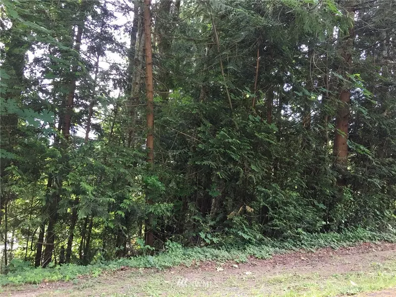 80 E Ridgeview DR, Shelton, WA 98584