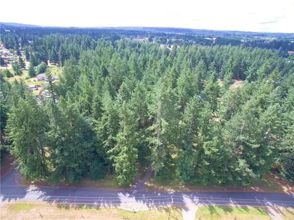 0 X 173rd AVE SW, Rochester, WA 98579