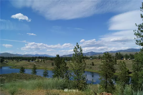 Winthrop, WA 98862,0 Twin Lakes DR