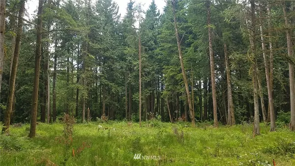 Sedro Woolley, WA 98284,0 NHN Silver Creek DR