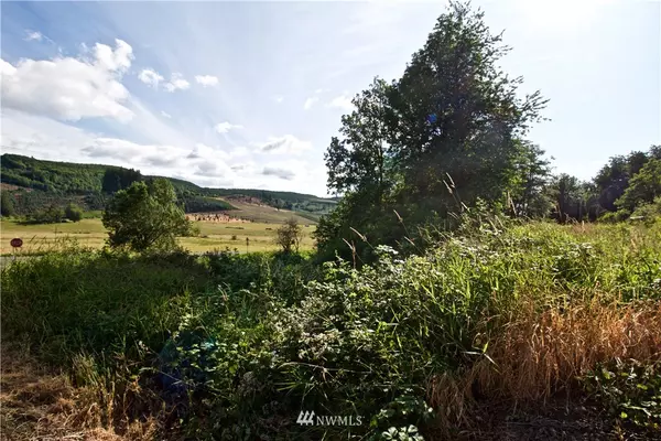 Mossyrock, WA 98564,0 Workman RD