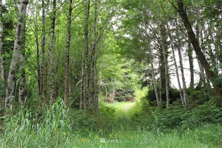 0 xxx Johns River RD, Aberdeen, WA 98520