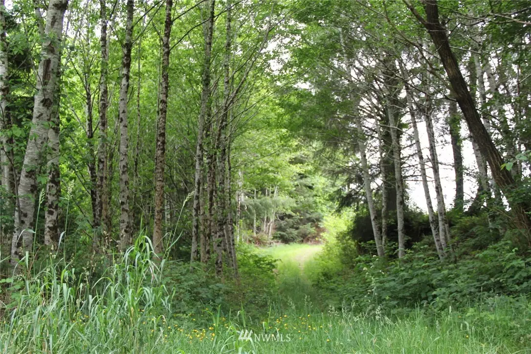 Aberdeen, WA 98520,0 xxx Johns River RD