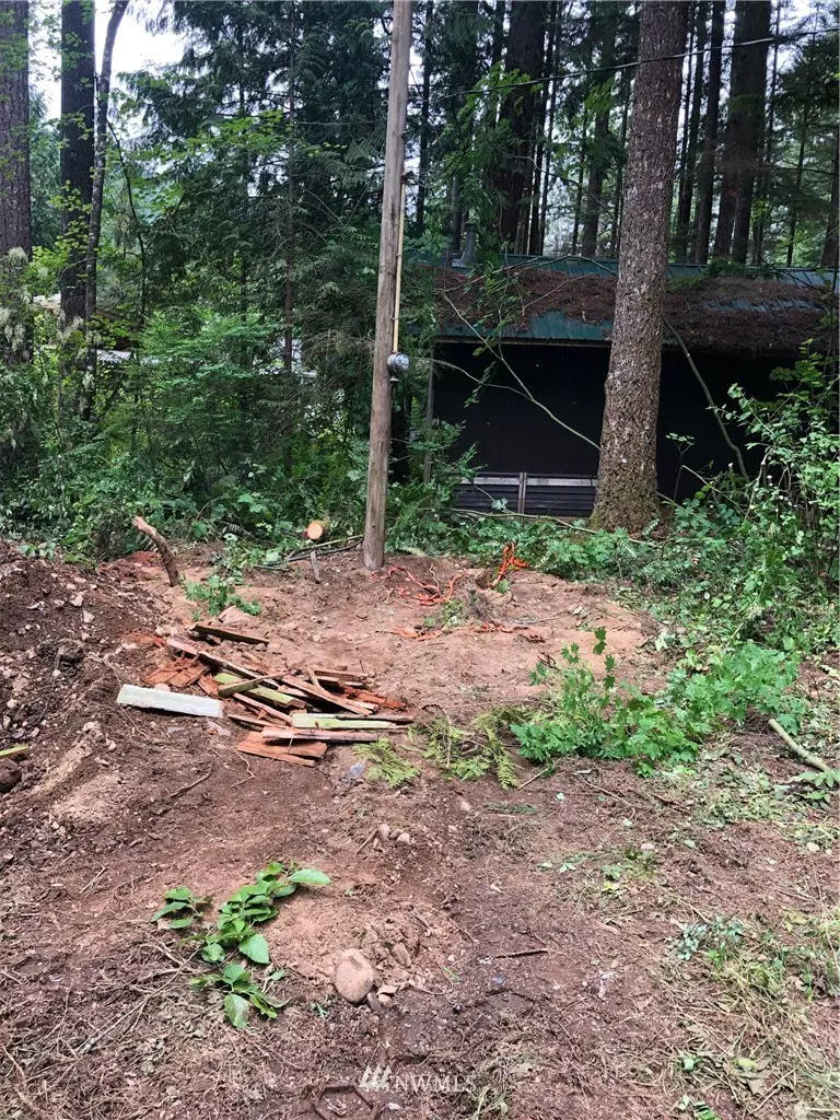 Maple Falls, WA 98266,6321 Pony PL