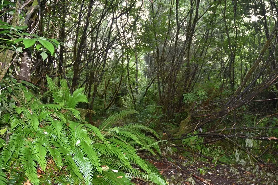 373 Camp Creek RD, Montesano, WA 98563