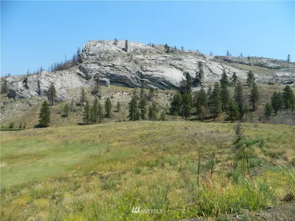 111 TBD Palmer Mountain RD, Tonasket, WA 98855
