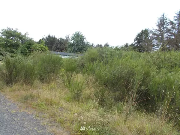1181 Wood LN, Grayland, WA 98547