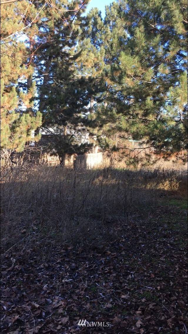 0 N Elliot ST, Ellensburg, WA 98926