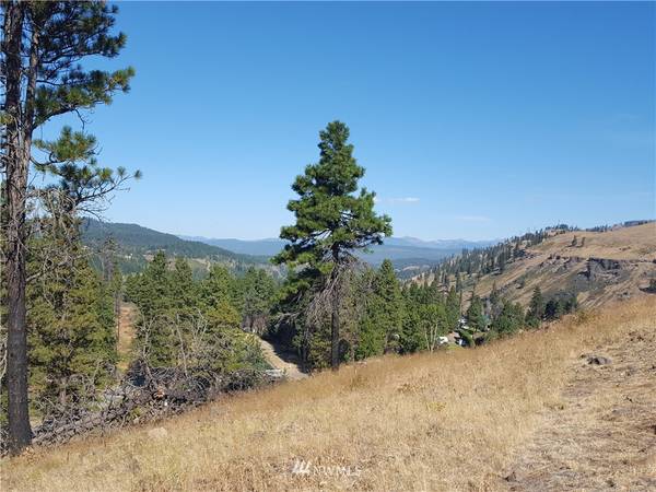 301 Melton Lane & Parcel #747434, Cle Elum, WA 98922