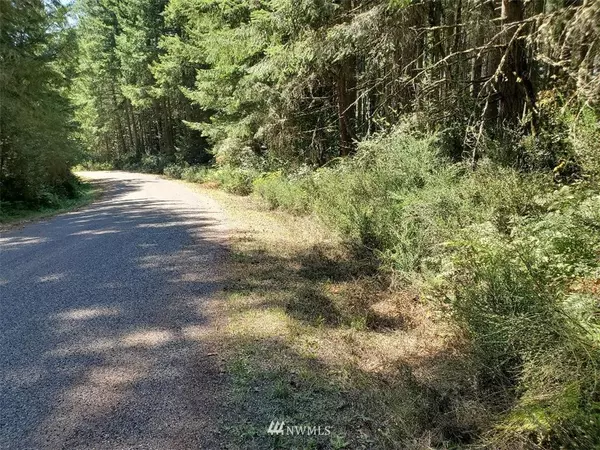 11004 Spruce DR, Anderson Island, WA 98303