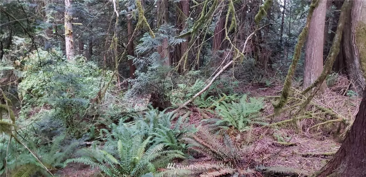 Seabeck, WA 98380,0 Quiet Waters NW