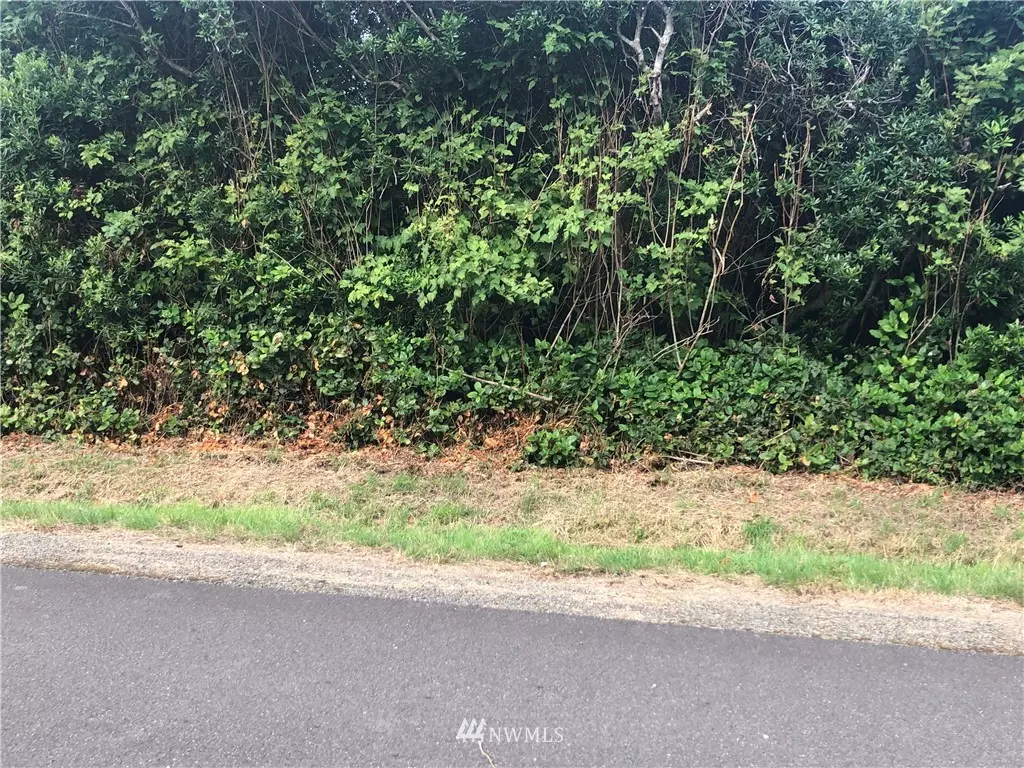 Ocean Shores, WA 98569,109 N Port LOOP NW