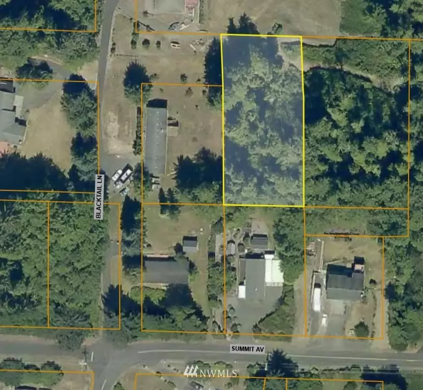 Hoquiam, WA 98550,0 Blacktail LN